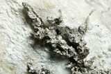 Native Silver in Calcite - Morocco #362830-2